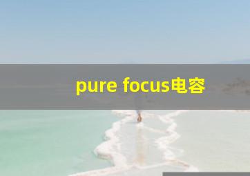 pure focus电容